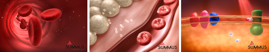 blood cells in blood vessels
